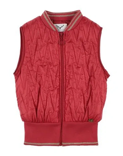 Leitmotiv Babies'  Toddler Girl Jacket Coral Size 6 Polyester In Red