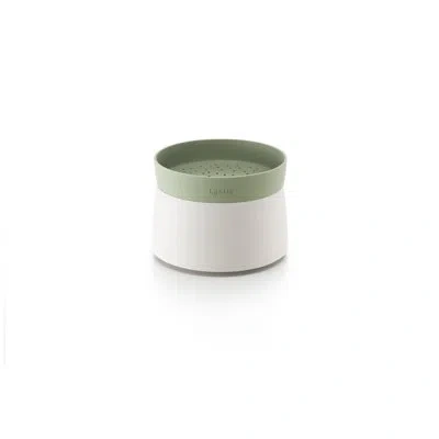 Lekue Quick Quinoa & Rice Cooker In Green