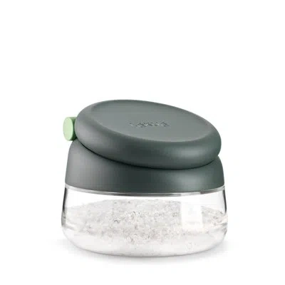 Lekue Salt Cellar In Gray