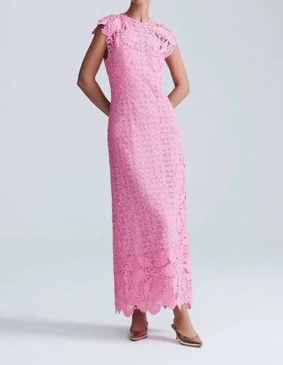 Lela Rose Lace Sleeveless Pencil Dress In Peony