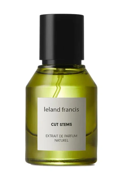 Leland Francis Cut Stems In Transparent