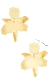 Lele Sadoughi Lace Metal Paper Lily Earrings In Gold