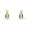 Lele Sadoughi Pebble Stud Earrings In Gold