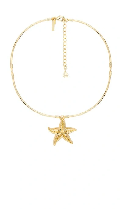 Lele Sadoughi Starfish Collar Necklace In Gold