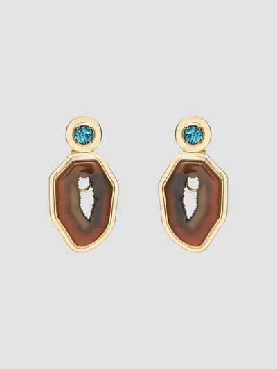 Lele Sadoughi Women's Coyote Twilight 14k-gold-plated & Resin Drop Earrings In Brown