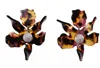 Lele Sadoughi Women's Crystal Lily Pierced Earrings In Rose Tortoise In Brown