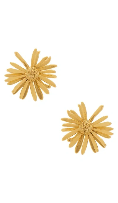 Lelet Ny Daisy Stud Earrings In Orange