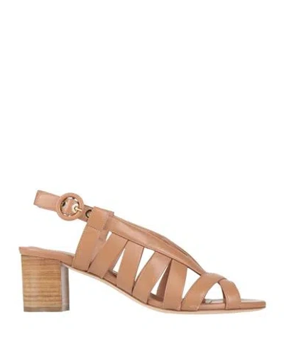 Lella Baldi Woman Sandals Blush Size 6 Leather In Pink