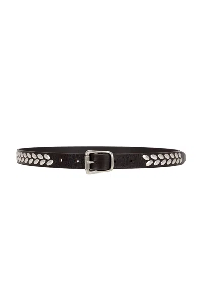 Lemaire Almond Stud Belt In Dark Brown