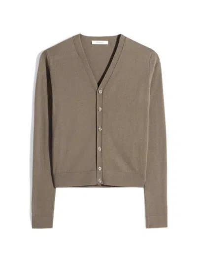 Lemaire Buttoned V-neck Cardigan In Brown