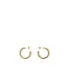 Lemaire Classic Hoops S Earring In Yellow
