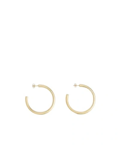 Lemaire Hoop Earrings In Transparent