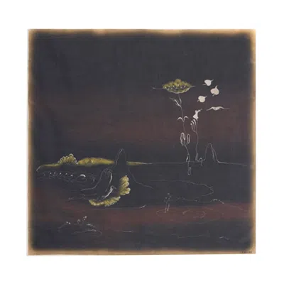 Pre-owned Lemaire Landscape Habotai 'caviar' | Black | Women's Size Onesize