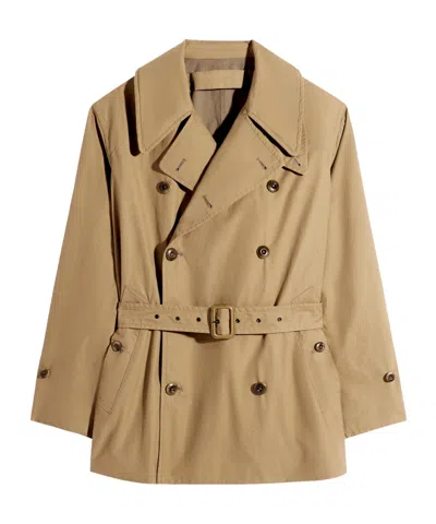 Lemaire Short Cotton Trench Coat In Nude