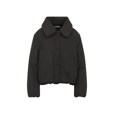 Lemaire Dark Espresso Brown Short Puffer Blouson In Black