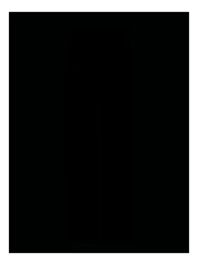 Lemaire Twisted Trousers In Black