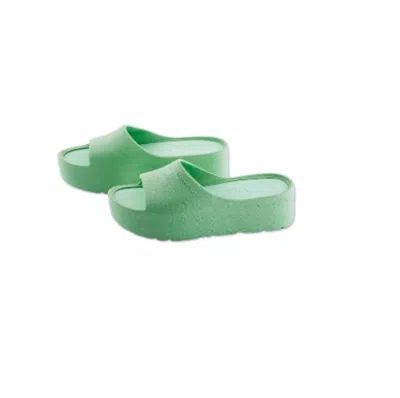 Lemon Jelly Women's Sunny Sandal In Mint In Green