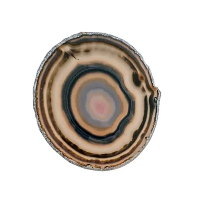 Lemuria Store Agate Slice - Brown Multicolour