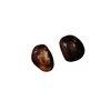 Lemuria Store Brown / Red Red Jasper Piece In Multi