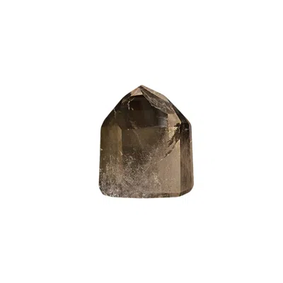 Lemuria Store Neutrals Clear Quartz Crystal Point In Green