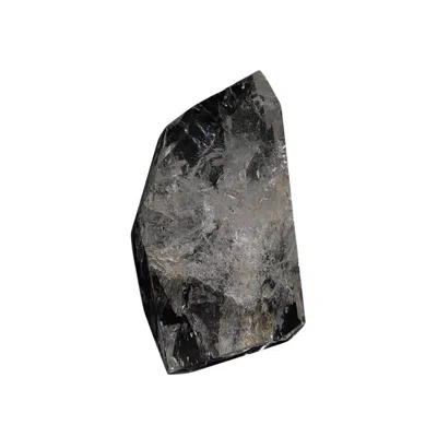 Lemuria Store Neutrals Clear Quartz Polished Crystal 110g In Green