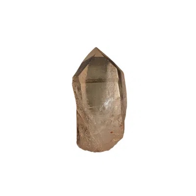 Lemuria Store Neutrals Lemurian Seed Quartz 137g In Green