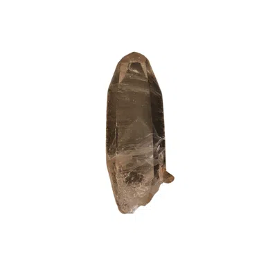 Lemuria Store Neutrals Lemurian Seed Quartz 236 In Green