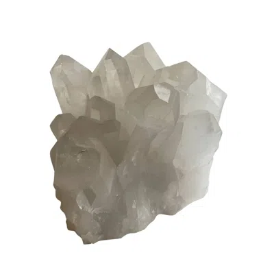 Lemuria Store Neutrals Lemurian Seed Quartz Druze In Green