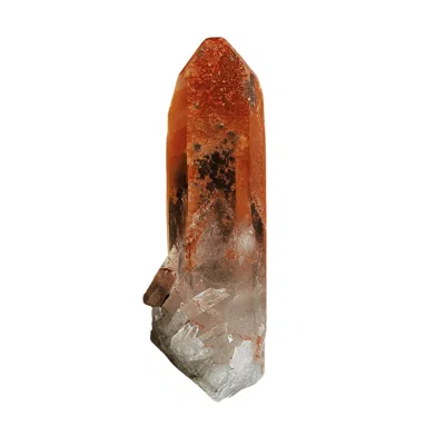 Lemuria Store Yellow / Orange Lemurian Seed Quartz Orange In Yellow/orange