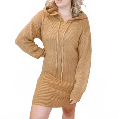 Lena Angie Hooded Sweater Dress In Brown