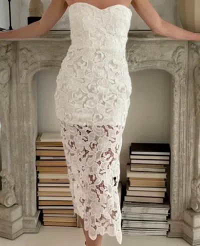 Lena Floral Lace Tube Dress In White In Multi