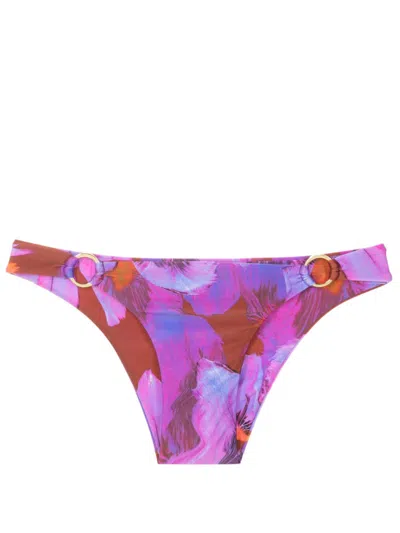 Lenny Niemeyer Floral-print Bikini Briefs In Purple