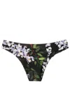 Lenny Niemeyer Floral-print Bikini Set In Black