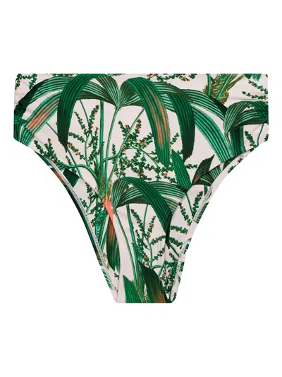 Lenny Niemeyer Leaf-print Bikini Bottoms In Green