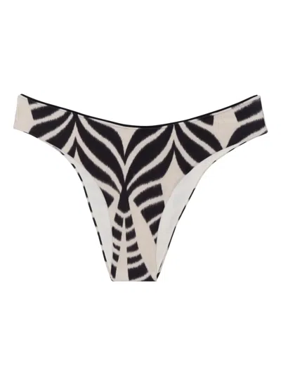 Lenny Niemeyer Printed Bikini Bottoms In Black