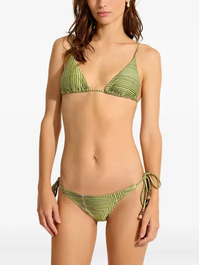 Lenny Niemeyer Striped Triangle Bikini Top In Green