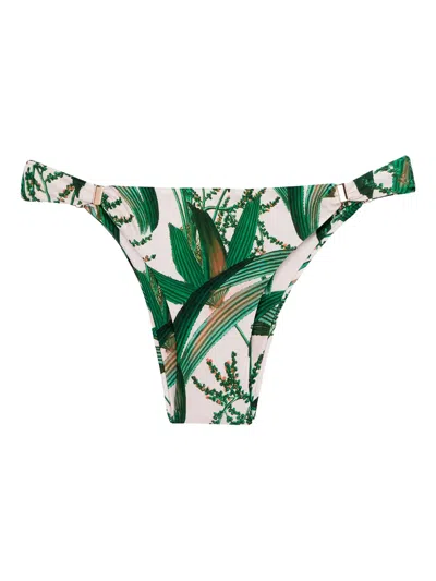 Lenny Niemeyer Tropical-print Bikini Bottom In Green
