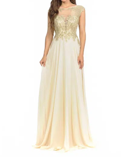 Lenovia Usa Embroidered Chiffon Mother Of Bride Gown In Champagne In Neutral