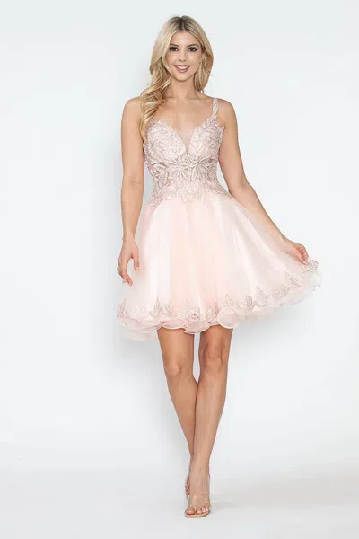 Lenovia Usa Homecoming Tulle With Sequin Lace Bodice Fit & Flare Cocktail Party Dress In Blush In Pink