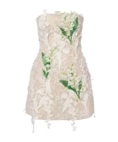 Leo Embellished Lace Bustier Dress In Neutral