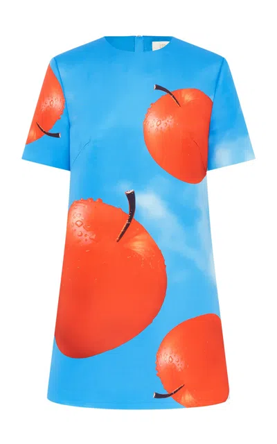 Leo Lin Alexa Tshirt Mini Dress In Print