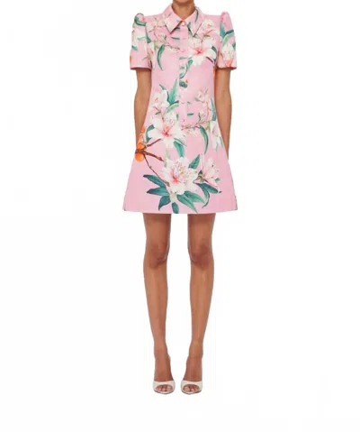Leo Lin Brooke Mini Dress In Lavish Print In Pink