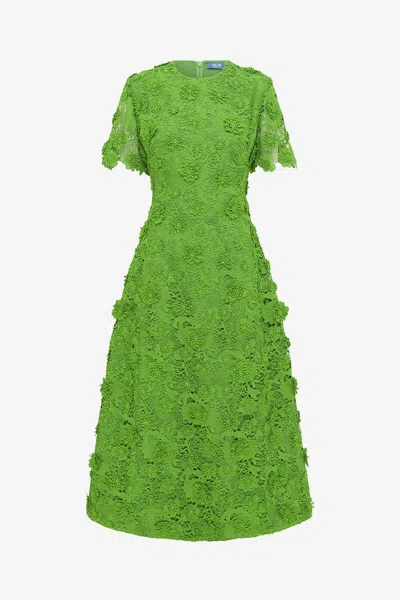 Leo Lin Caroline Lace Short Sleeve Midi Dress - Fern In Green