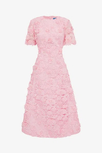 Leo Lin Caroline Lace Short Sleeves Midi Dress - Blush Pink