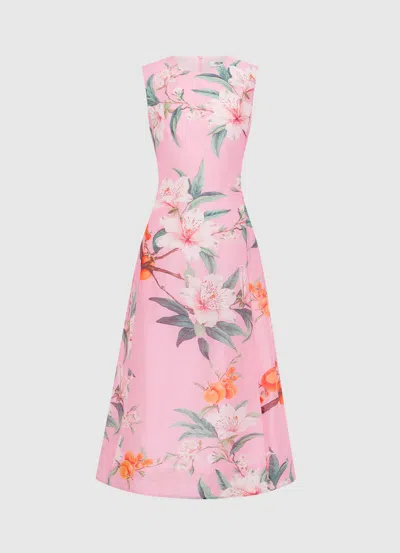 Leo Lin Cleo Printed Sleeveless Midi Dress - Lavish Print In Pink