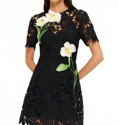 Leo Lin Margot Embroidered Lace Mini Dress In Ebony In Black