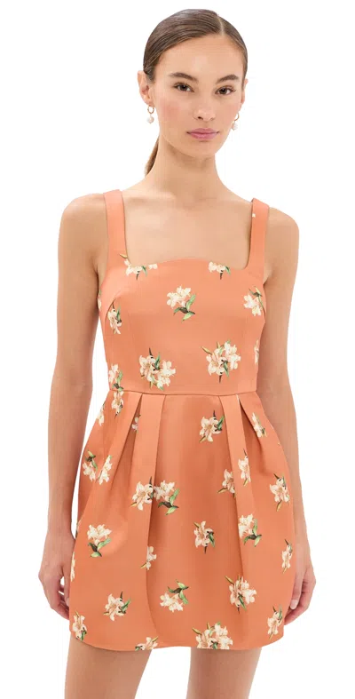 Leo Lin Piper Bell Shape Mini Dress Lily Print In Ochre In Brown