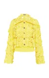 Leo Lin Robyn Lace Shirt In Yellow