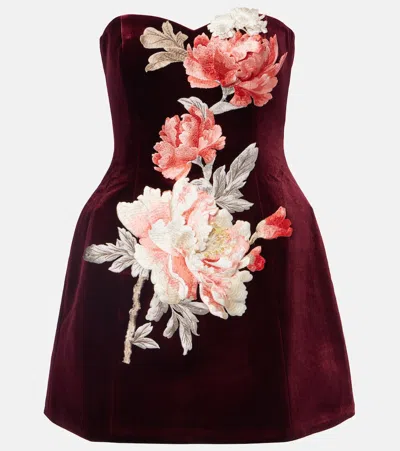 Leo Lin Rosario Floral-appliqué Velvet Minidress In Burgundy
