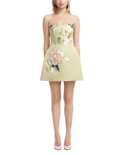 Leo Lin Roselle Embroidered Bustier Mini Dress In Brown